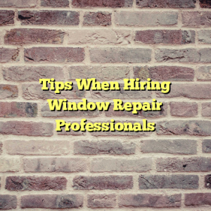 Tips When Hiring Window Repair Professionals