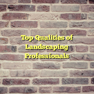 Top Qualities of Landscaping Professionals