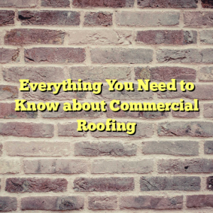 Everything You Need to Know about Commercial Roofing