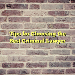 Tips for Choosing the Best Criminal Lawyer