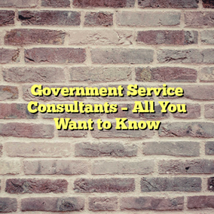 Government Service Consultants – All You Want to Know