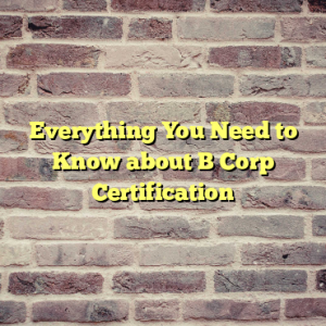 Everything You Need to Know about B Corp Certification