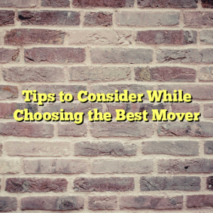 Tips to Consider While Choosing the Best Mover